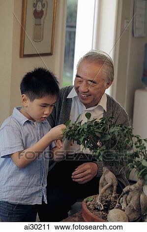 Grandfather showing his grandson how to care for a bonsai tree View Large Photo Image Stock Image - Grandfather showing his grandson how to care for a bonsai tree. Fotosearch