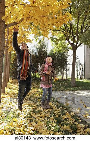 Young boy and girl playing in the Autumn leaves outdoors View Large Photo Image Stock Image - Young boy and girl playing in the Autumn leaves outdoors. Fotosearch