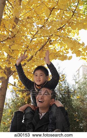 Young boy on dad's shoulders looking at the trees View Large Photo Image Stock Image - Young boy on dad's shoulders looking at the trees. Fotosearch