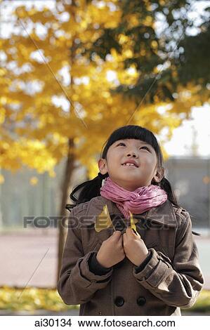 Young girl holding Autumn leaves looking up View Large Photo Image Picture - Young girl holding Autumn leaves looking up. Fotosearch