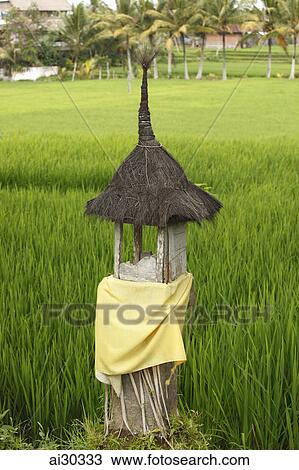Stock Image - A small shrine in a rice paddy. Indonesia, Bali. Fotosearch