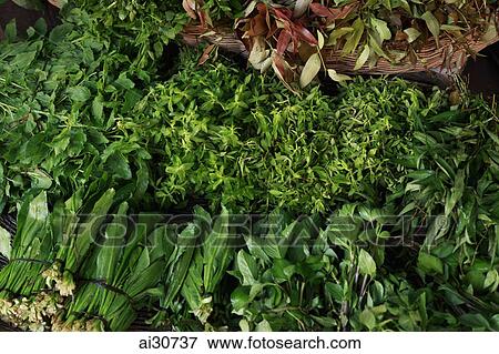 Stock Photo - Different green vegetables for sale in market, Cambodia. Fotosearch