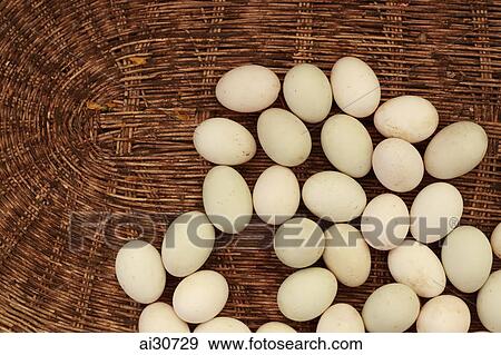 Eggs for sale in street market. Siem Reap, Cambodia View Large Photo Image Stock Photo - Eggs for sale in street market. Siem Reap, Cambodia. Fotosearch
