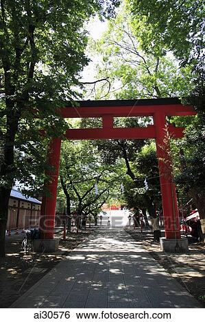 Entrance to Shinjuku Park Shrine, Japan View Large Photo Image Stock Photograph - Entrance to Shinjuku Park Shrine, Japan. Fotosearch