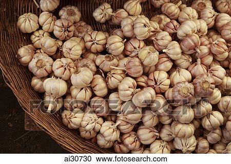 Garlic cloves for sale in market. Siem Reap, Cambodia View Large Photo Image Stock Image - Garlic cloves for sale in market. Siem Reap, Cambodia. Fotosearch
