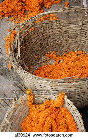 Picture - Marigolds in woven baskets, New Delhi, India. Fotosearch