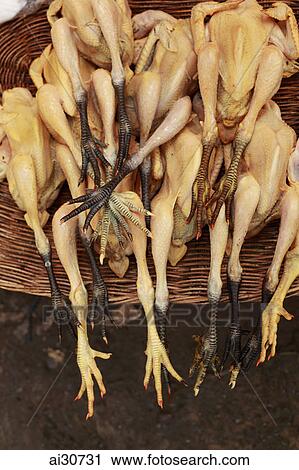 Stock Image - Plucked chickens for sale in street market. Siem Reap, Cambodia. Fotosearch