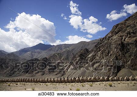Row of mud chortens or stupas in the foothills of the Himalayas, Ladakh, India View Large Photo Image Stock Image - Row of mud chortens or stupas in the foothills of the Himalayas, Ladakh, India. Fotosearch