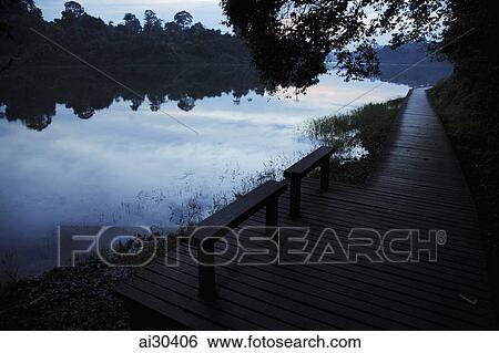 Wooden benches by edge of lake surrounded by trees in the evening View Large Photo Image Stock Photograph - Wooden benches by edge of lake surrounded by trees in the evening. Fotosearch