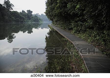Wooden path along the edge of a lake surrounded by trees View Large Photo Image Picture - Wooden path along the edge of a lake surrounded by trees. Fotosearch