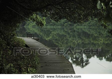 Stock Image - Wooden path along the edge of a lake with trees reflected in the water. Fotosearch