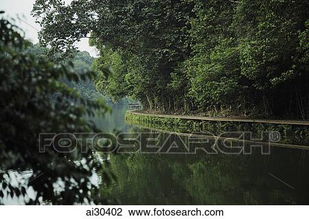 Stock Image - Wooden path around the edge of a lake with trees in foreground and background.. Fotosearch