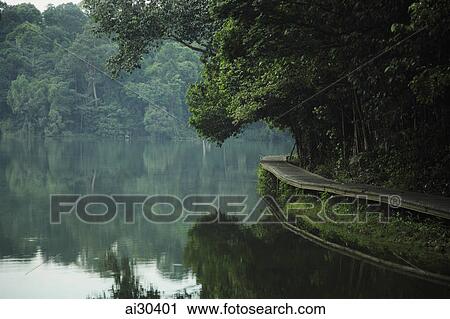 Wooden path around the edge of lake surrounded by trees reflected in the water View Large Photo Image Stock Image - Wooden path around the edge of lake surrounded by trees reflected in the water. Fotosearch