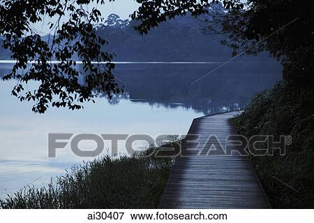 Wooden path by edge of lake surrounded by trees in the evening View Large Photo Image Stock Photo - Wooden path by edge of lake surrounded by trees in the evening. Fotosearch