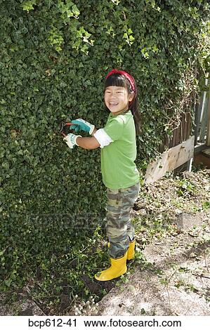 Happy little girl pruning hedge View Large Photo Image Stock Image - Happy little girl pruning hedge. Fotosearch