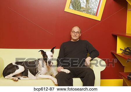 Man sitting on couch with Great Dane View Large Photo Image Stock Photo - Man sitting on couch with Great Dane. Fotosearch