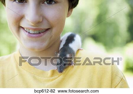 Portrait of boy with pet rat View Large Photo Image Stock Image - Portrait of boy with pet rat. Fotosearch
