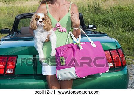 Woman holding dog outside car View Large Photo Image Stock Image - Woman holding dog outside car. Fotosearch