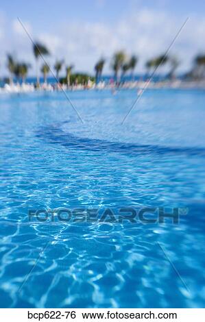 Glistening blue water and distant trees View Large Photo Image Stock Photograph - Glistening blue water and distant trees. Fotosearch
