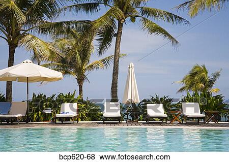 Stock Photo - Palm trees and poolside lounge chairs. Fotosearch