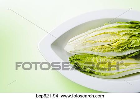 Romaine lettuce in curved dish View Large Photo Image Picture - Romaine lettuce in curved dish. Fotosearch