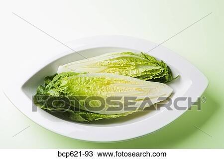Romaine lettuce in curved dish View Large Photo Image Stock Image - Romaine lettuce in curved dish. Fotosearch