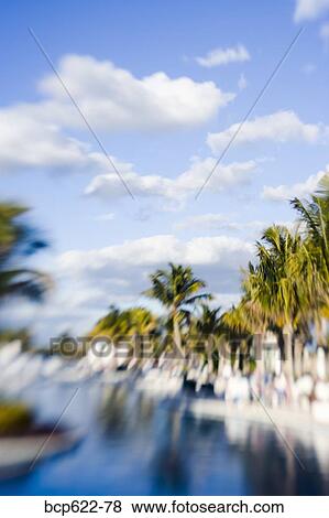 Sky and palm trees at tropical resort View Large Photo Image Stock Photo - Sky and palm trees at tropical resort. Fotosearch