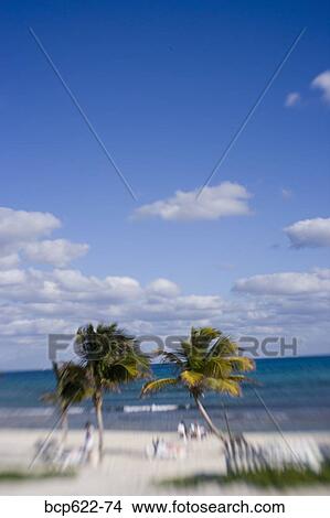 Sky and sea with palm trees Cancun Mexico View Large Photo Image Picture - Sky and sea with palm trees Cancun Mexico. Fotosearch