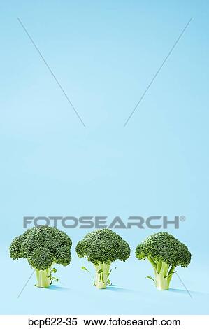 Stock Photography - Three broccoli crowns. Fotosearch