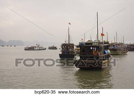 Tour boats in Vietnam under cloudy sky View Large Photo Image Stock Photography - Tour boats in Vietnam under cloudy sky. Fotosearch