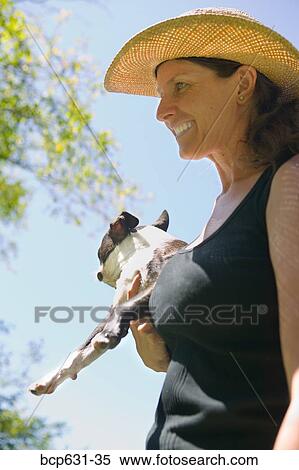 Stock Photography - Boston Terrier, dog, day, caucasian, afternoon. Fotosearch