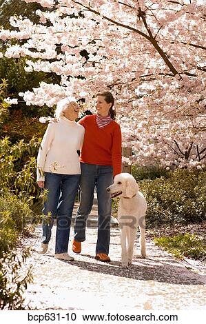 caucasian, dog, day, daughter, afternoon View Large Photo Image Stock Image - caucasian, dog, day, daughter, afternoon. Fotosearch