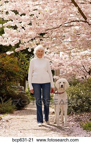 caucasian, fortysomething, dog, day, afternoon View Large Photo Image Stock Image - caucasian, fortysomething, dog, day, afternoon. Fotosearch