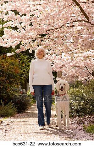 caucasian, fortysomething, dog, day, afternoon View Large Photo Image Stock Image - caucasian, fortysomething, dog, day, afternoon. Fotosearch