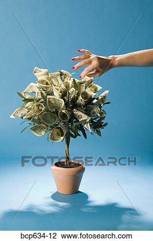 dollar, growth, finance, dollar bill, abundance View Large Photo Image Stock Image - dollar, growth, finance, dollar bill, abundance. Fotosearch