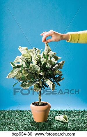 dollar, growth, finance, dollar bill, abundance View Large Photo Image Stock Image - dollar, growth, finance, dollar bill, abundance. Fotosearch