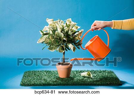 dollar, growth, finance, dollar bill, abundance View Large Photo Image Stock Image - dollar, growth, finance, dollar bill, abundance. Fotosearch
