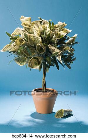 money, dollar, growth, finance, dollar bill, abundance View Large Photo Image Picture - money, dollar, growth, finance, dollar bill, abundance. Fotosearch