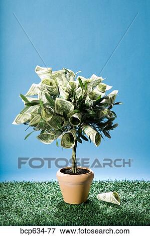 money, dollar, growth, finance, dollar bill, abundance View Large Photo Image Stock Photo - money, dollar, growth, finance, dollar bill, abundance. Fotosearch