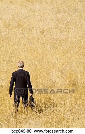 Businessman standing in field View Large Photo Image Stock Image - Businessman standing in field. Fotosearch