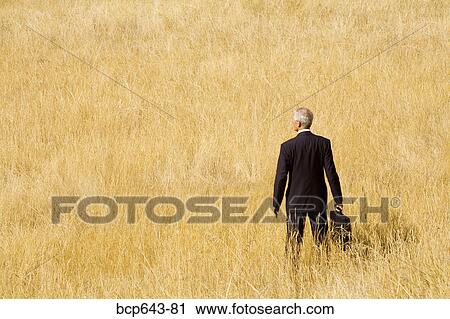 Businessman standing in field View Large Photo Image Stock Image - Businessman standing in field. Fotosearch
