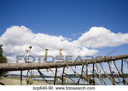 Children balancing on fallen tree View Large Photo Image Stock Image - Children balancing on fallen tree. Fotosearch