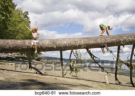 Stock Image - Children balancing on fallen tree. Fotosearch