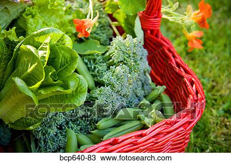 Stock Image - Close up of produce in basket. Fotosearch
