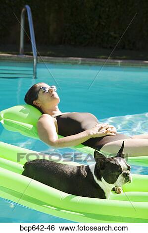 Dog and woman relaxing on floating raft in pool View Large Photo Image Stock Photograph - Dog and woman relaxing on floating raft in pool. Fotosearch