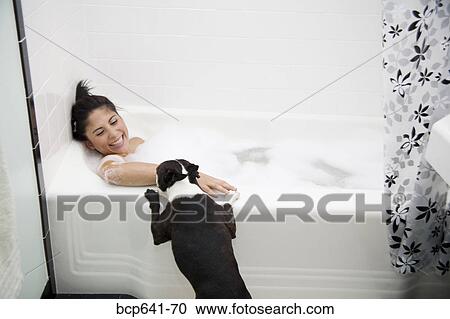 Dog licking woman in bathtub View Large Photo Image Stock Image - Dog licking woman in bathtub. Fotosearch