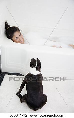 Dog sitting near woman in bathtub View Large Photo Image Stock Image - Dog sitting near woman in bathtub. Fotosearch