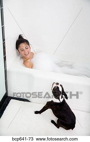 Dog sitting near woman in bathtub View Large Photo Image Stock Image - Dog sitting near woman in bathtub. Fotosearch