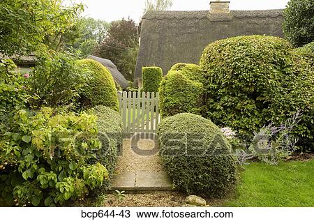 Finely-trimmed hedges in front yard, Gloucestershire, United Kingdom View Large Photo Image Stock Image - Finely-trimmed hedges in front yard, Gloucestershire, United Kingdom. Fotosearch