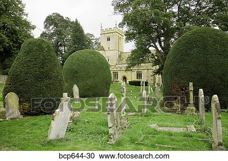 Stock Image - Finely trimmed hedges in graveyard, Gloucestershire, United Kingdom. Fotosearch